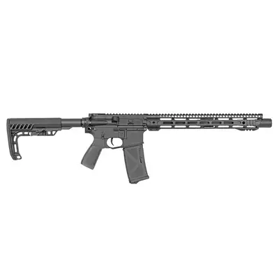 AR15 E3 Rifle AT-AR07 [Arcturus]