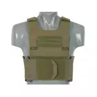 Direct Delta Modular Vest - Ranger Green [8FIELDS]