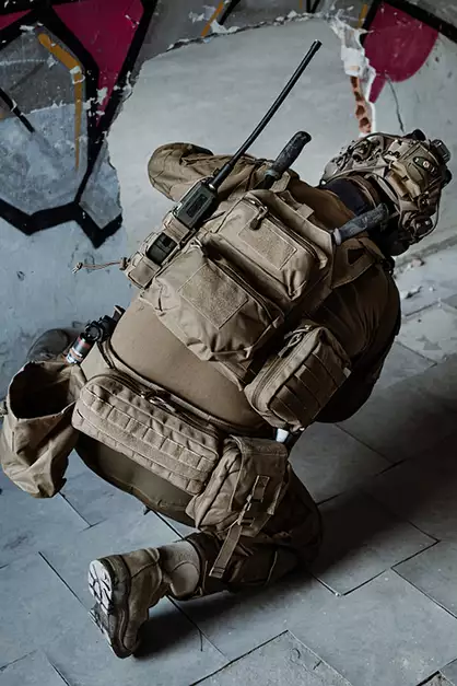 Assault Back Panel Mod.2 - Coyote [8FIELDS]