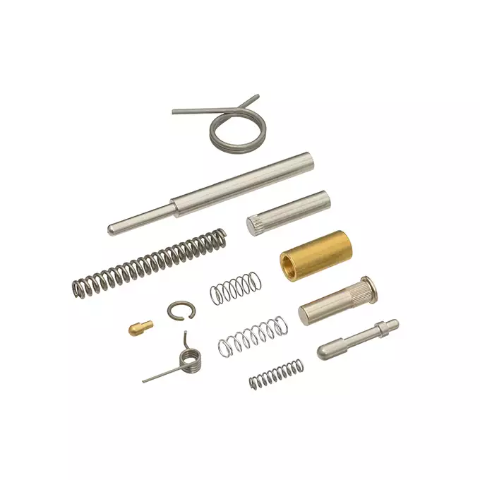 Complete set of springs and pins for DE/TM MWS trigger assembly [DE]