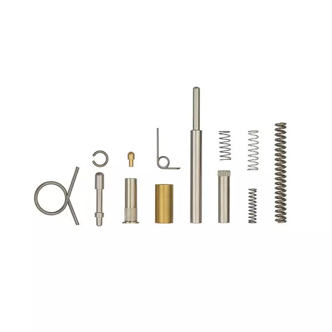 Complete set of springs and pins for DE/TM MWS trigger assembly [DE]