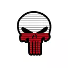 Naszywka Flag Skull POLAND [8FIELDS]